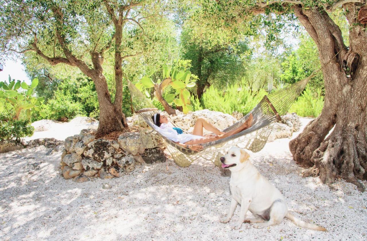 Puntebianche B&B Ceglie Messapica Bagian luar foto